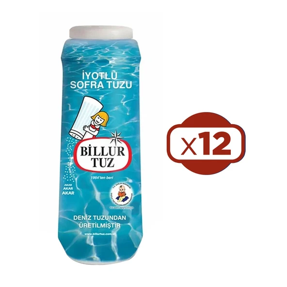 Billur Tuz Plastik Tuzluklu 500 G x 12 Adet ürün görseli 1
