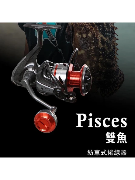 Okuma Pisces PS-2000A 3+1 BB Olta Makinesi - Resim 2