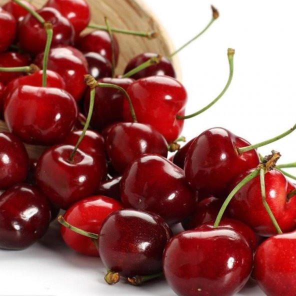 Tüplü Yarı Bodur Kütahya Vişne Fidanı ürün görseli 1
