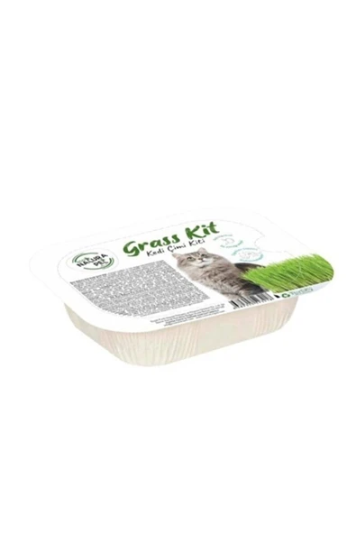Kedi Çimi ürün görseli 1