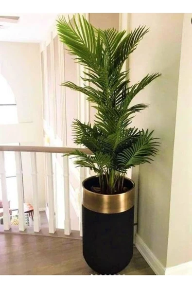 60x40 cm Dekoratif Darbuka Saksı Gold Detaylı ürün görseli 1