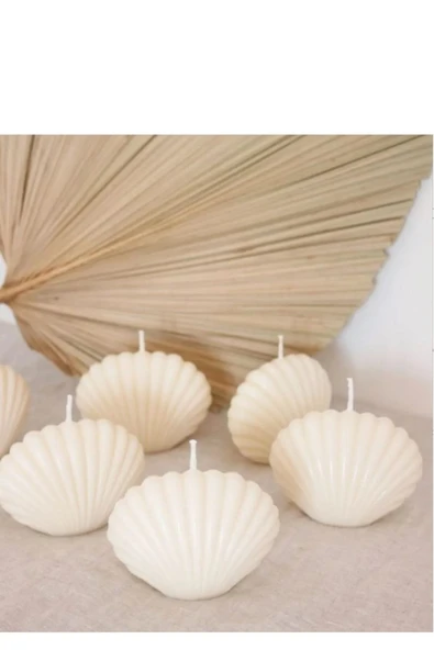 Istridye Mum Beyaz Pudra Kokulu 5li Mini Istiridye ürün görseli 1
