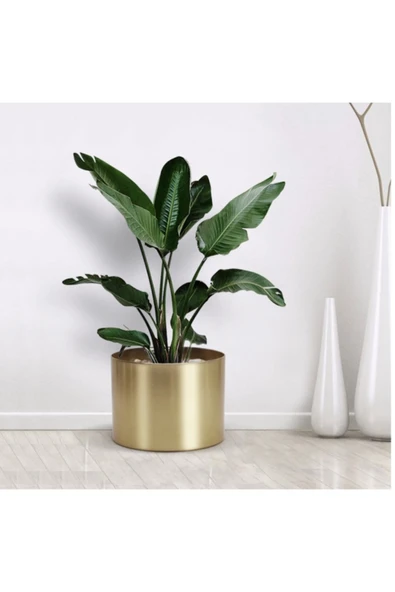 12x12 Masaüstü Metal Alüminyum Gold Saksı ürün görseli 1