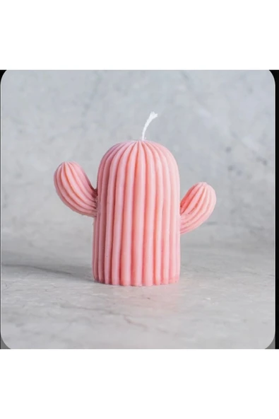 Tekli Pembe Kokulu Kaktüs Mum ürün görseli 1