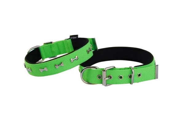 Actirex Neon Yumuşak Doku Kemik Desenli Köpek Boyun Tasma Green Medium 57cm En 3cm ürün görseli 1