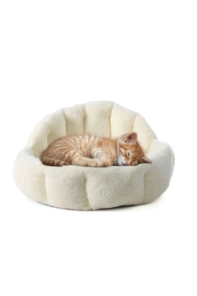 Peluş Evcil Hayvan Yatağı Wellsoft Kumaş Kedi ve Köpek için Rahat Yatak ürün görseli 1