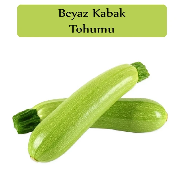 Beyaz Kabak Tohumu 10 gr 1 Adet ürün görseli 1