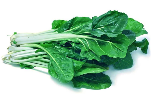 Pazı Tohumu 10 gr 1 Adet ürün görseli 1