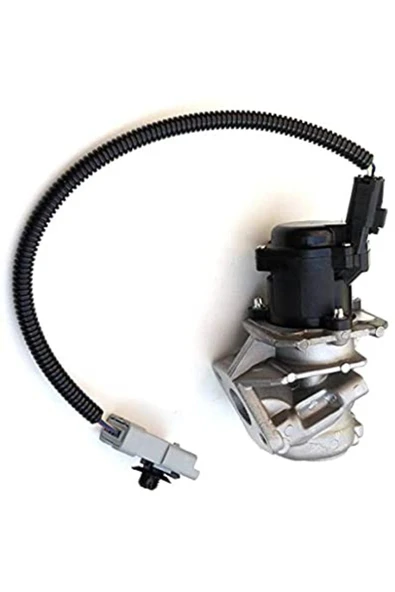Delphi EG10434 EGR VALFI 206-307-406-FOCUS-CMAX 1.6hdi 16V DV6 EURO3  -12B1 ürün görseli 1