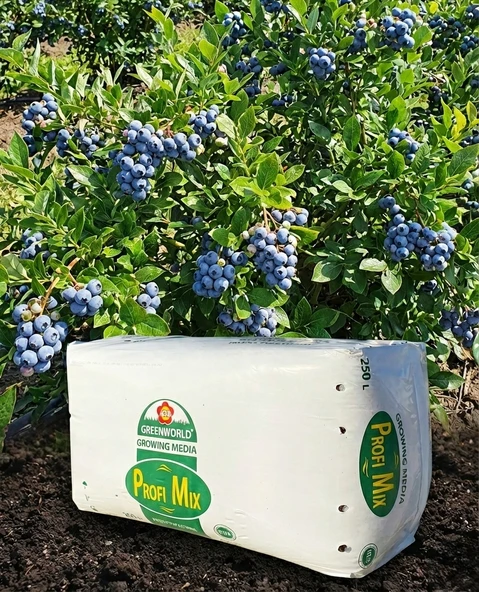 250 Lt Profimix Ithal Blueberry Yaban Mersini Torfu - Ph 3,5 - 4,2 Asidik Toprak 0-40 Mm ürün görseli 1