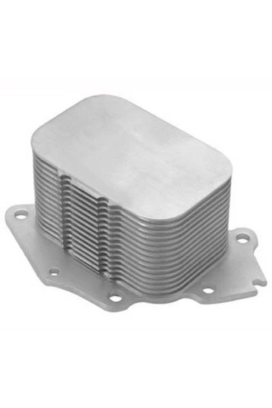 Magneti Marelli 359001601960 MAGNETTI MARELLI  Yağ Soğutucu Radyatör Dw4 Dw6 206 307 Focus Fiesta C4 ürün görseli 1