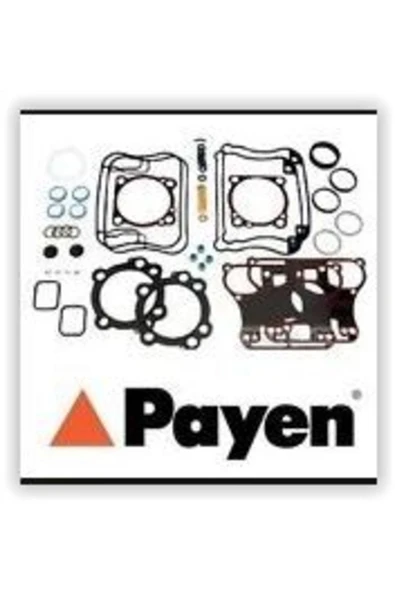 Payen DZ790 Dz790 Motor Takım Conta Üst Palio Doblo Punto 1.9d ürün görseli 1