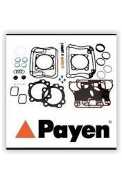 Payen DY250 MOTOR TAKIM CONTA ÜST ASTRA F G VECTRA A B 2.0 ürün görseli 1