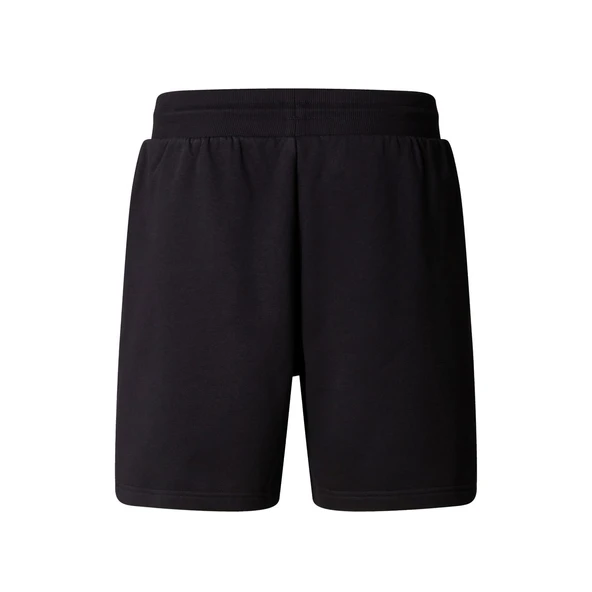 The North Face Erkek BOX NSE REGULAR Şort NF0A8C1JKY41 - Resim 2