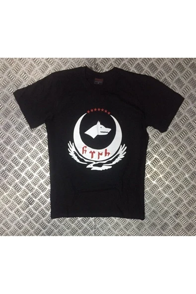 fame-stoned Türk Baskılı T-shirt ürün görseli 1