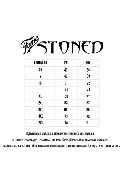 fame-stoned  Aerosmith Baskılı T-shirt - Resim 2