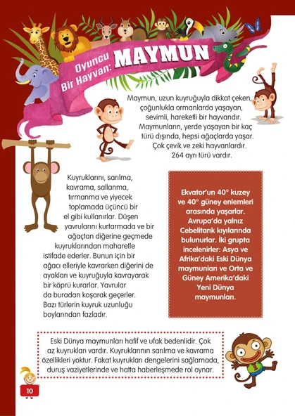 Hayvanlar Alemi - 2 - Mete Ulusoy - Resim 8
