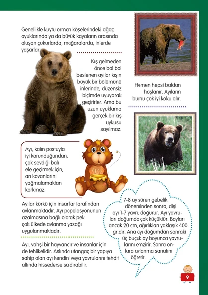 Hayvanlar Alemi - 1 - Mete Ulusoy - Resim 7