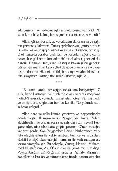Aşk Olsun - Neslihan Nur Türk - Resim 4