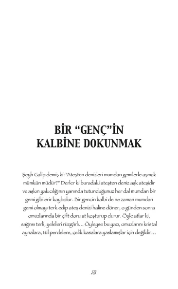 Metropol Bedevisi - Ayşegül Genç - Resim 4