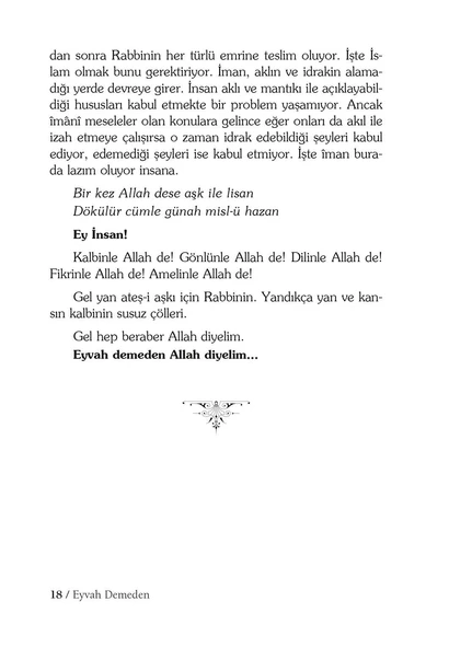 Eyvah Demeden - Salih Zeki Meriç - Resim 8