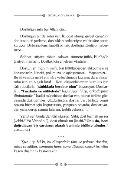 Dostun Divanına - Halime Demireşik - Resim 7