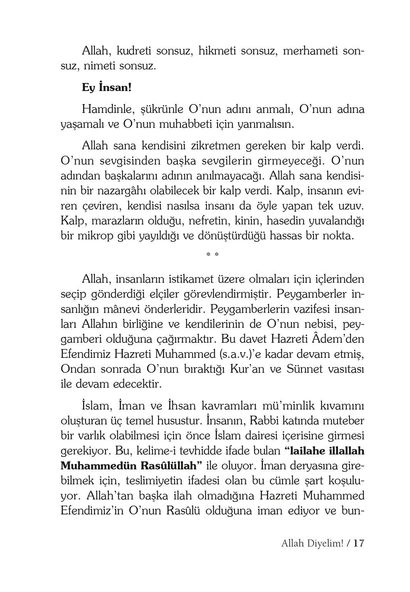 Eyvah Demeden - Salih Zeki Meriç - Resim 7