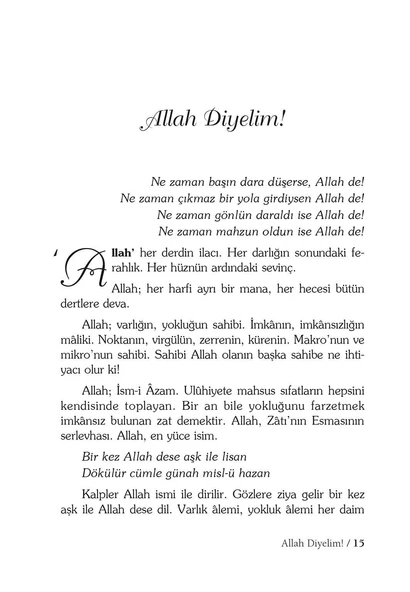 Eyvah Demeden - Salih Zeki Meriç - Resim 5