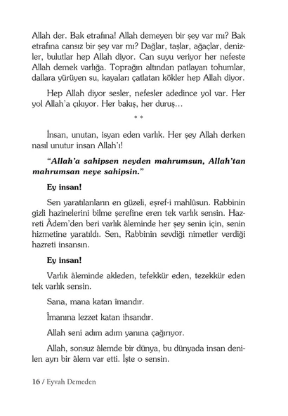 Eyvah Demeden - Salih Zeki Meriç - Resim 6