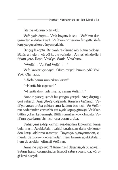 Bir Vefa Öyküsü - Şefika Kaya Meriç - Resim 5