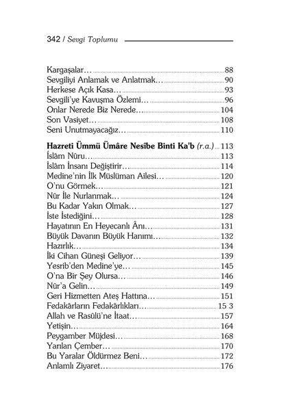 Sevgi Toplumu - Adem Saraç - Resim 3