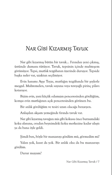 Halimiz Budur - Mustafa Uslu - Resim 3
