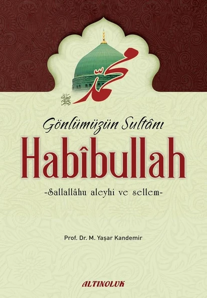 Gönlümüzün Sultanı Habibullah - Prof. Dr. M. Yaşar Kandemir ürün görseli 1