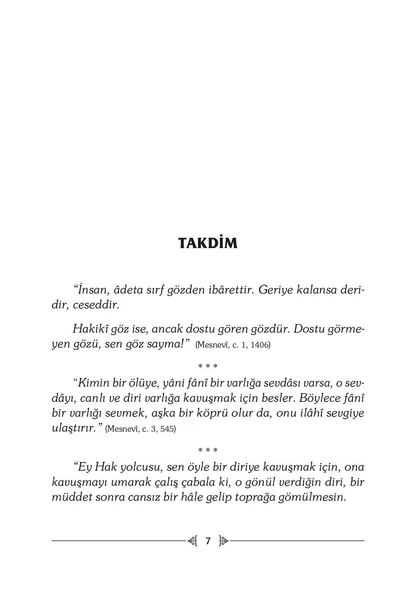 Dostun Divanına - Halime Demireşik - Resim 2