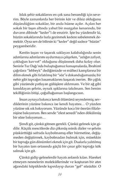 Metropol Bedevisi - Ayşegül Genç - Resim 6