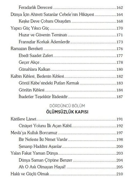 Ölümsüzlük Kapısı - Ali Rıza Temel - Resim 3