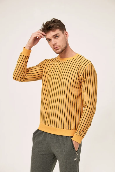 Fulla Moda Çizgili Bisiklet Yaka Sweatshirt ürün görseli 1