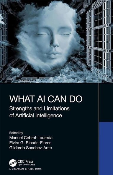 What AI Can Do: Strengths and Limitations of Artificial Intelligence Hardcover Loureda Flores ürün görseli 1