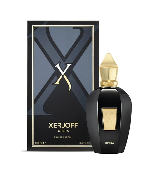 Xerjoff Accento Edp 100 ml Unisex Parfüm ürün görseli 1