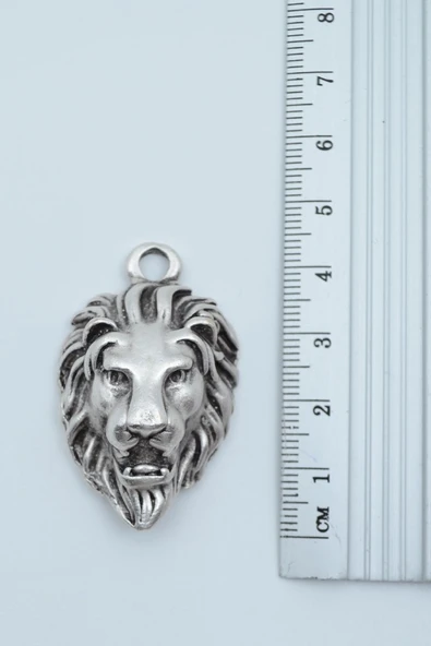 Aslan Gümüş Kaplama Deri İp Kolye - Resim 3