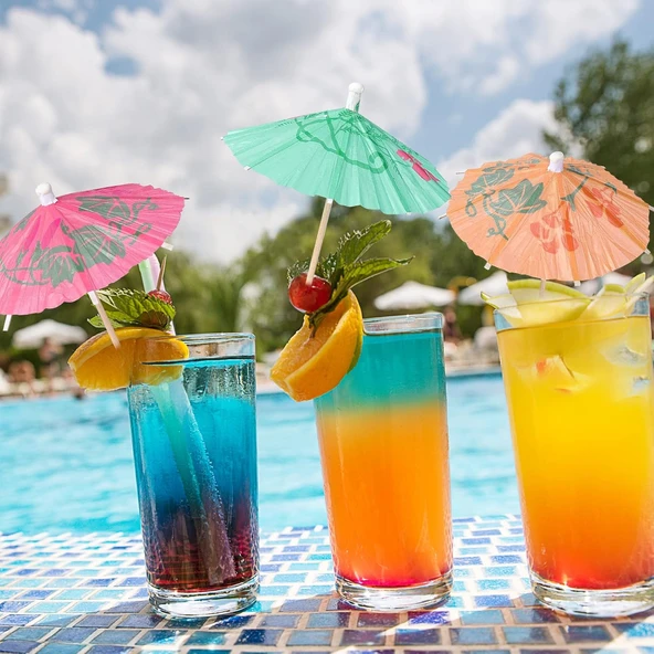 VIP 12 PCS COCKTAIL UMBRELLA 12 ADET KOKTEYL ŞEMSİYESİ RENKLİ KOKTEYL ŞEMSİYESİ KOKTEYL AKSESUARLARI ürün görseli 1