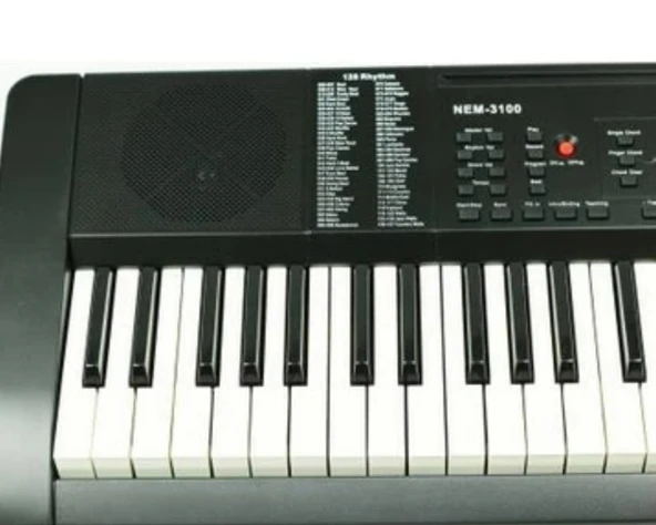 Nemesis 3100 org - Resim 3