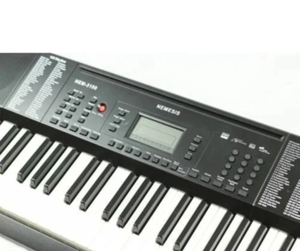 Nemesis 3100 org - Resim 2