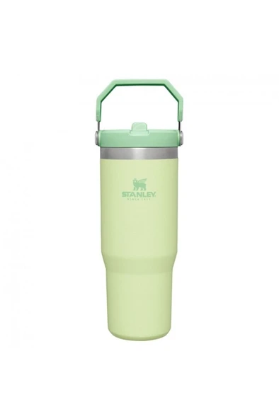 Stanley The Iceflow Flip Straw Açık Yeşil 0.89 lt Pipetli Termos Bardak ürün görseli 1