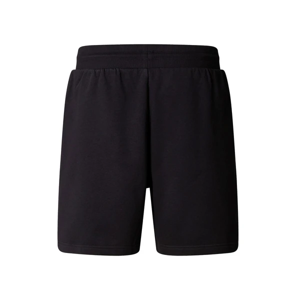 The North Face Erkek BOX NSE REGULAR Şort NF0A8C1JKY41 - Resim 2