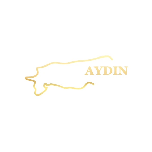 Aydın Harita Araba Sticker 17x17 Cm Gold ürün görseli 1