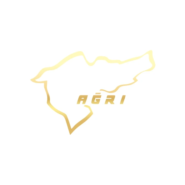 Ağrı Araba Sticker 17x17 Cm Gold ürün görseli 1