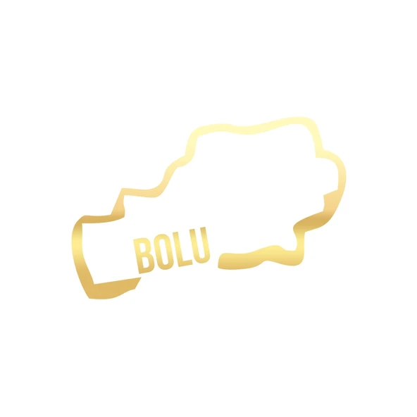 Bolu Harita Araba Sticker 17x17 Cm Gold ürün görseli 1