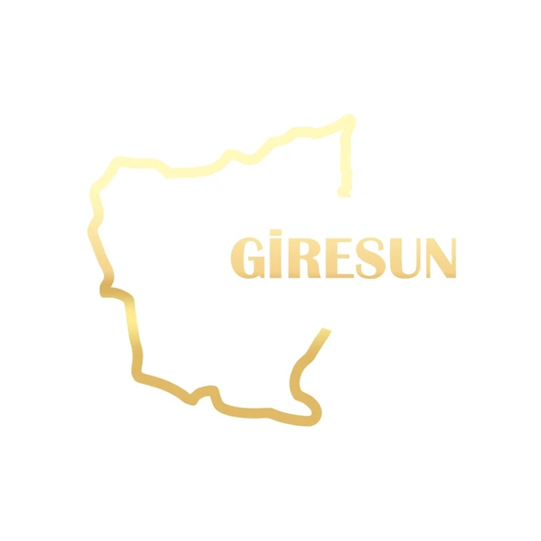 Giresun Harita Araba Sticker 17x17 Cm Gold ürün görseli 1