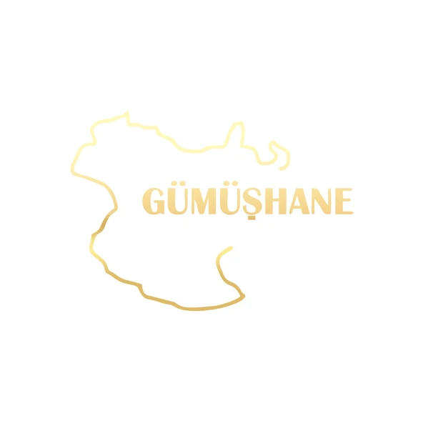 Gümüşhane Harita Araba Sticker 17x17 Cm Gold ürün görseli 1